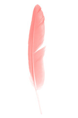Beautiful  pink feather isolated pastel on white background with clipping path