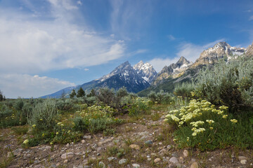 mountain landscape in the alps