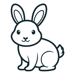 Rabbit on white background 