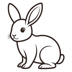 Rabbit on white background 