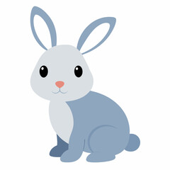 Rabbit on white background 