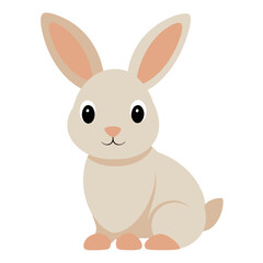 Rabbit on white background 