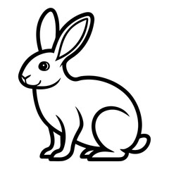 Rabbit on white background 