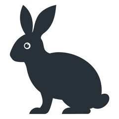 Rabbit on white background 