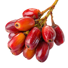 Fresh red palm fruit bunch isolated on black background