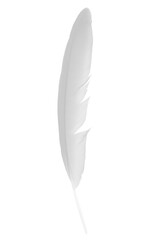 white gray feather isolated on white  background with clipping path