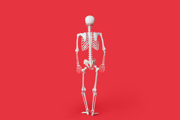 Scary human skeleton on red background, back view