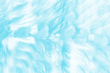 Beautiful green turquoise vintage color trends feather pattern texture background