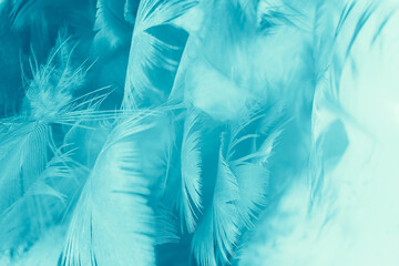 Beautiful green turquoise vintage color trends feather pattern texture background