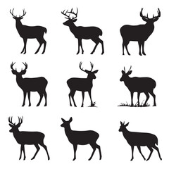 Fototapeta premium buck deer silhouette set, Black & White silhouette set 