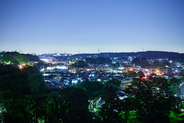 丘から見た街の夜景