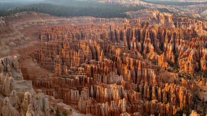 Bryce National Park