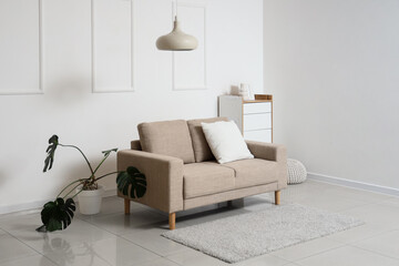 New sofa in light interior of living room