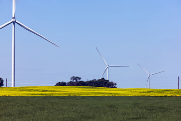wind turbines in field
