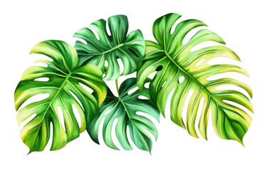 Lush monstera leaves with vibrant green hues and striking patterns create tropical ambiance, perfect for enhancing any space with touch of nature beauty