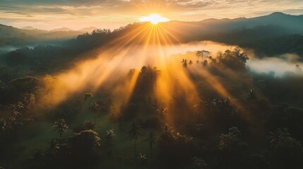 Obraz premium Serene tropical forest landscape at sunrise, featuring lush trees, fog-covered The Amazon rainforest in morning