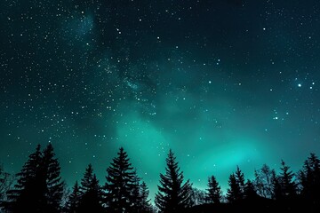 Naklejka premium Starry Skies Over Forest: A serene view of the aurora borealis above the treeline