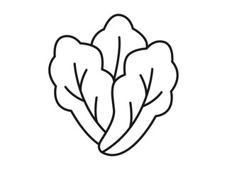 Lettuce icon. Fruits and vegetables outline icon. Simple vector illustration in modern thin line style.