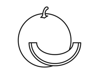 Melon icon. Fruits and vegetables outline icon. Simple vector illustration in modern thin line style.