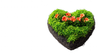 Heart Shaped Green Plant With Orange Flowers