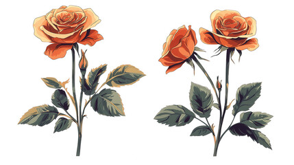 Two Detailed Orange Roses On Transparent Background