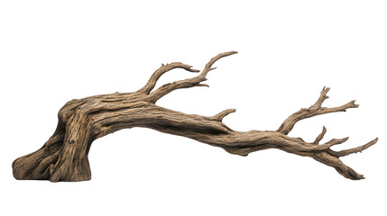 Dried Twisted Tree Branch With Transparent Background