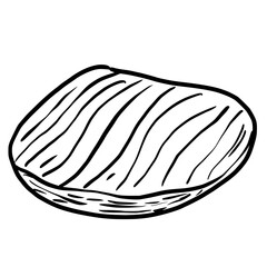 Sea Shells Hand drawn line art sketch doodle fisherman aesthetic coastal nautical illustration 