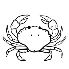 Crab Hand drawn line art sketch doodle fisherman aesthetic coastal nautical illustration 