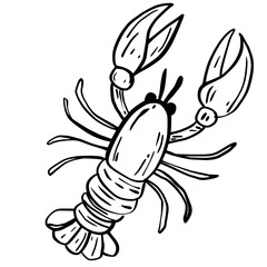 Lobster Hand drawn line art sketch doodle fisherman aesthetic coastal nautical illustration 