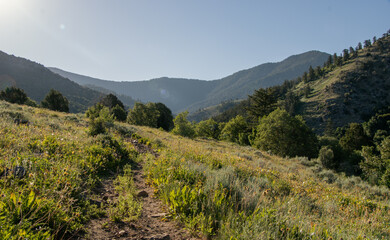 Fototapeta premium Summer Hiking Views of Maple Creek Spring Franklin County Idaho - Southeastern Idaho Travel and Outdoors
