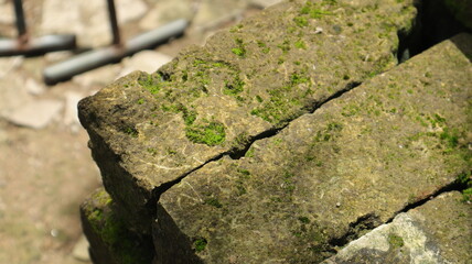 Obraz premium Green moss grows on the surface of a square limestone rock