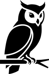 Cartoon owl illustration on white background featuring a cute vector bird design