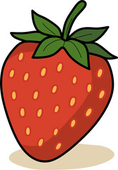 Strawberry vector illustration on white background showing fresh ripe red fruit
