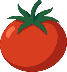 Tomato vector illustration on white and green backgrounds showcasing fresh red fruit design