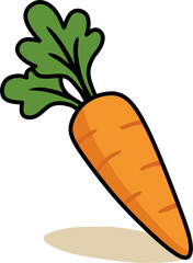 Carrot vector illustration of fresh vegetables on white background
