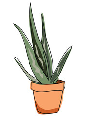 Aloe vera is in a continuous line drawing on a white background.