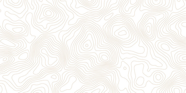 Geography landscape Topo contour map on white background, Topographic contour lines. Seamless pattern with lines Topographic map. Geographic mountain relief diagram line wave carve pattern. 