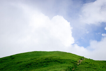 green field and blue sky