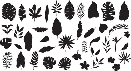 Tropical Leaf Silhouette Collection – Monstera, Fern, Palm, Botanical, Jungle, Plant, Nature, Decorative, Black Shape, Wild Flora

