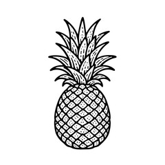 Pineapple Line Art  Tropical Summer Fruit Illustration