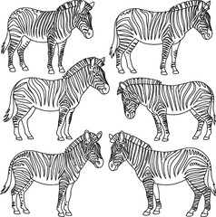 Obraz premium Collection of six stylized black and white zebra illustrations on white background
