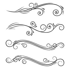 Fototapeta premium Elegant black calligraphic decorative flourishes and swirls ornamental