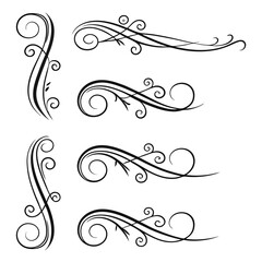 Fototapeta premium Elegant black calligraphic scrollwork flourishes ornate decorative