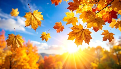 Autumn leaves in sunlight