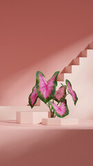 stairs and wall, 3d image render blank space pink color hexagonal shape in portrait