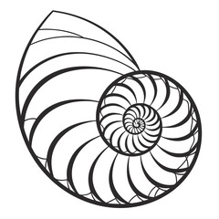 Obraz premium Nautilus shell spiral pattern abstract design black and white