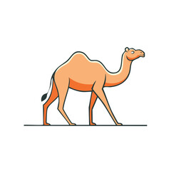 A detailed illustration of a camel walking across a flat, simple, white background.