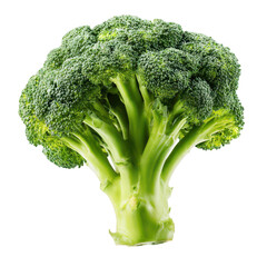 Fresh broccoli head, vibrant green (5)