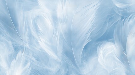 Delicate light blue feather textures.