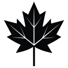 Obraz premium Stylized Black Maple Leaf Silhouette with Veins on White Background Emblematic Icon